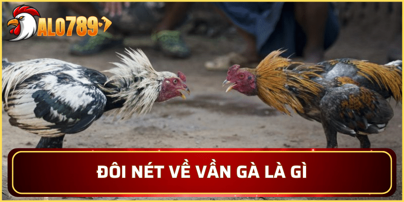Đôi nét về vần gà là gì