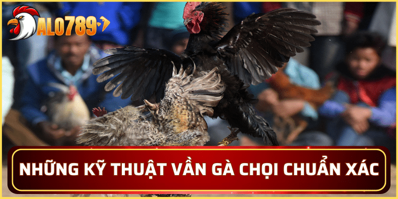 Những kỹ thuật vần gà chọi chuẩn xác nhất