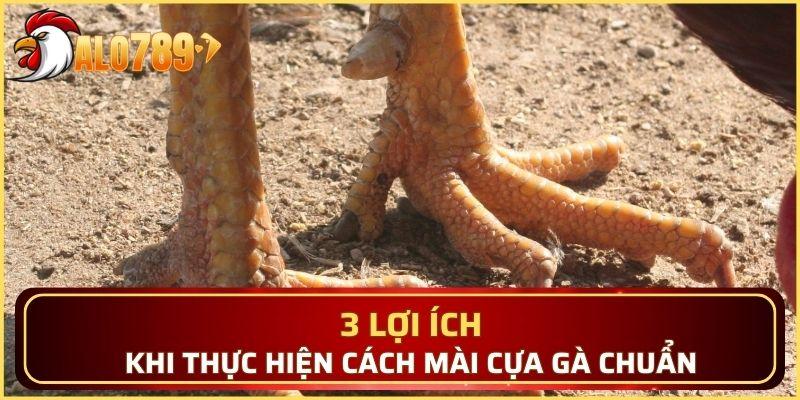 3 lợi ích khi thực hiện cách mài cựa gà chuẩn