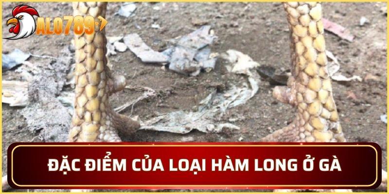 Đặc điểm đặc biệt của loại Hàm Long thường có ở gà